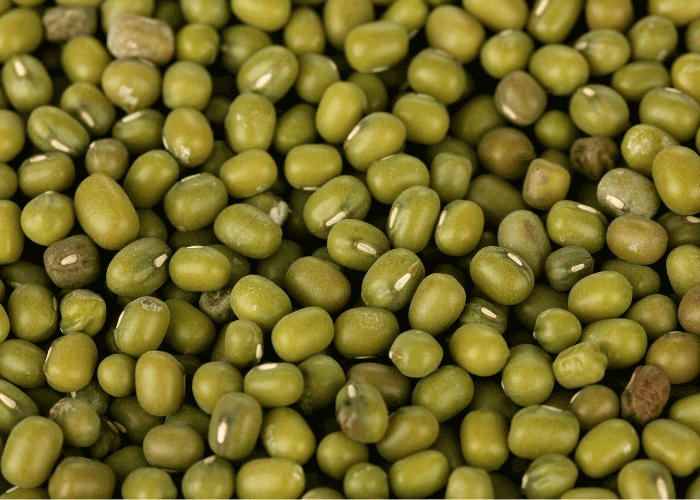 緑豆